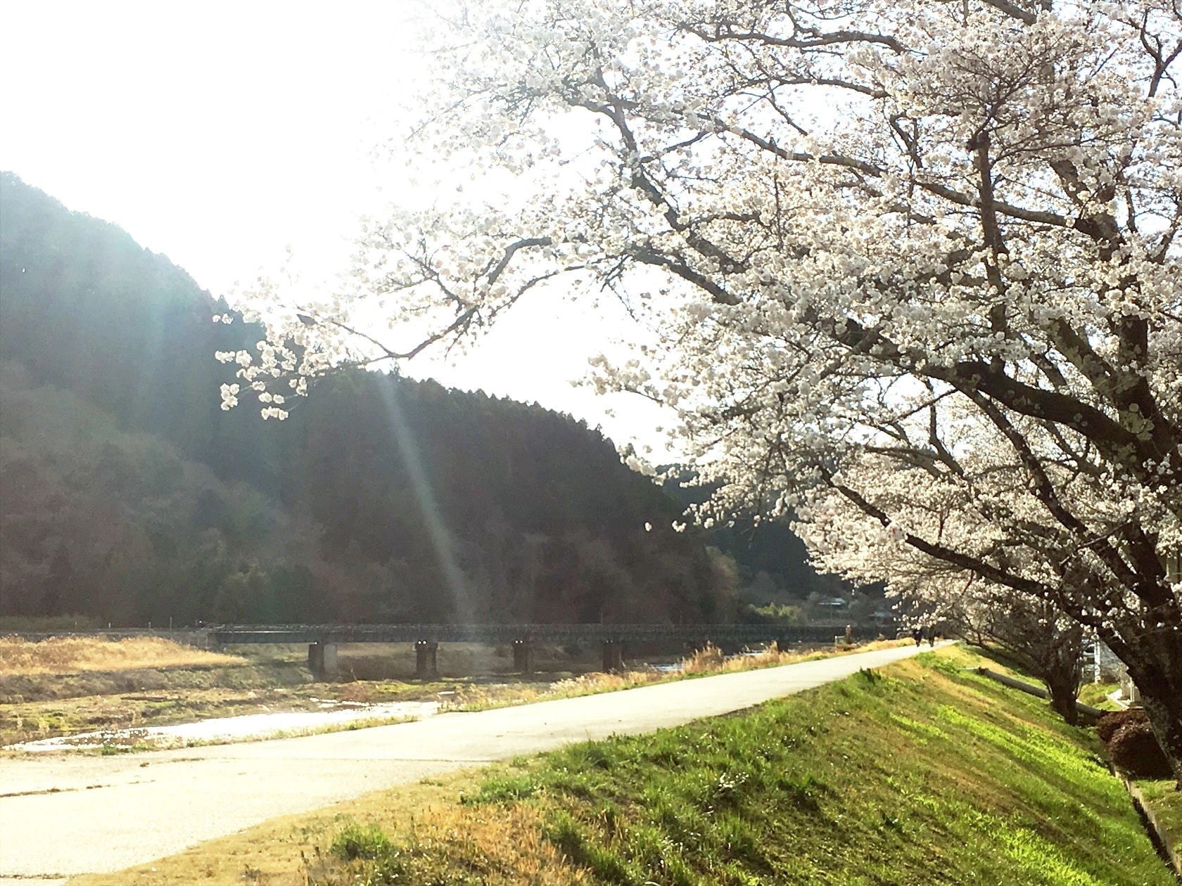 茨城奥久慈大子町、昭和レトロノスタルジック商店街、大子デパート町歩き