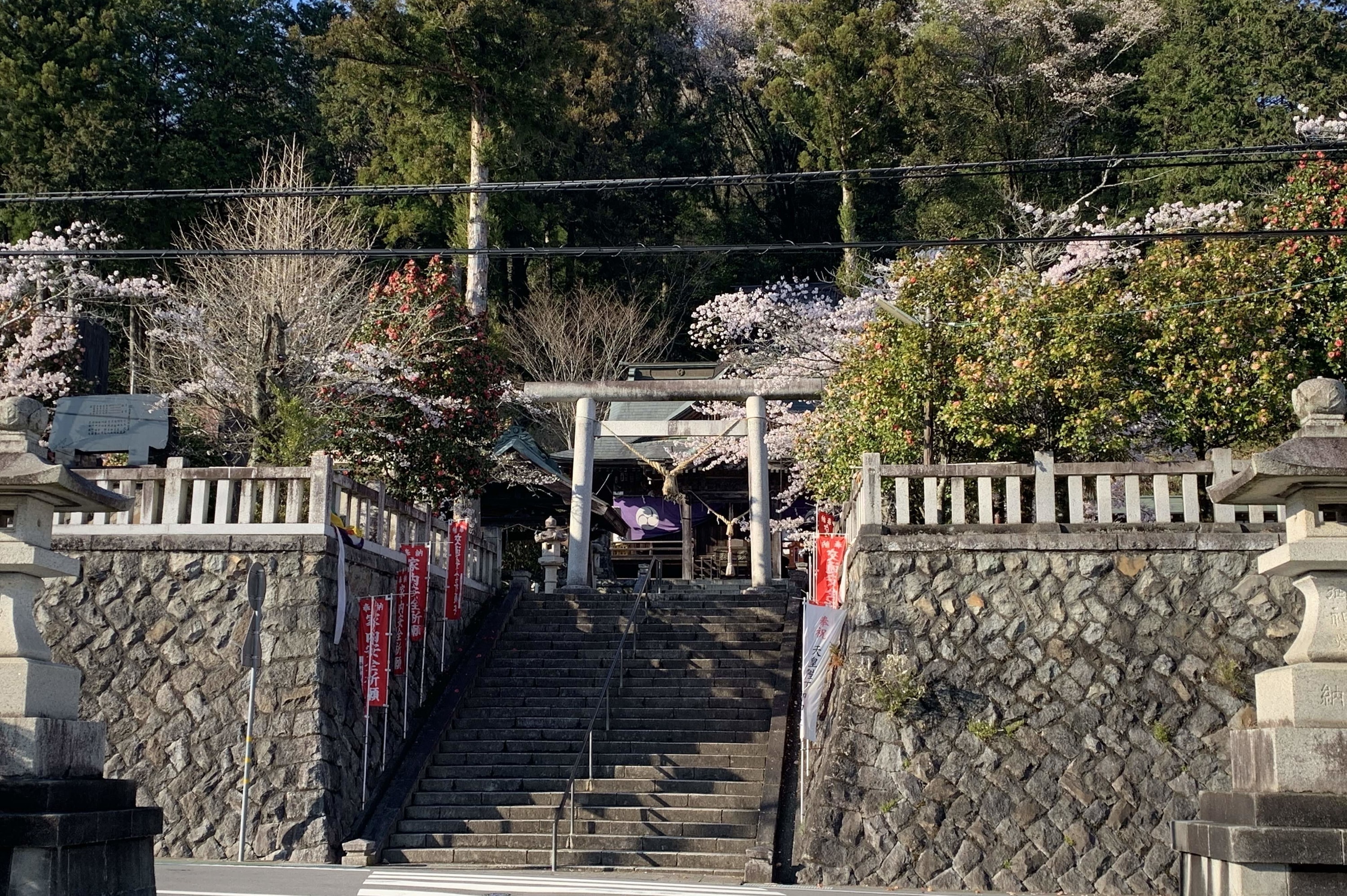 茨城・大子町。レトロ商店街大子デパート。中心商店街の活性化・地方創生。十二所神社。