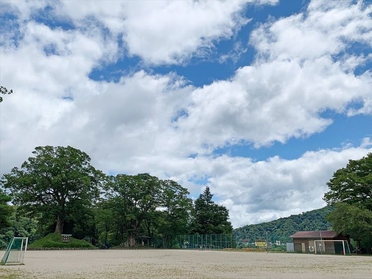 茨城・大子　だいご小　大ケヤキ