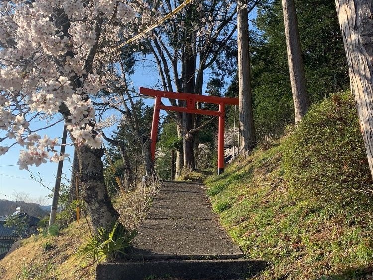 茨城・大子 蒟蒻神社