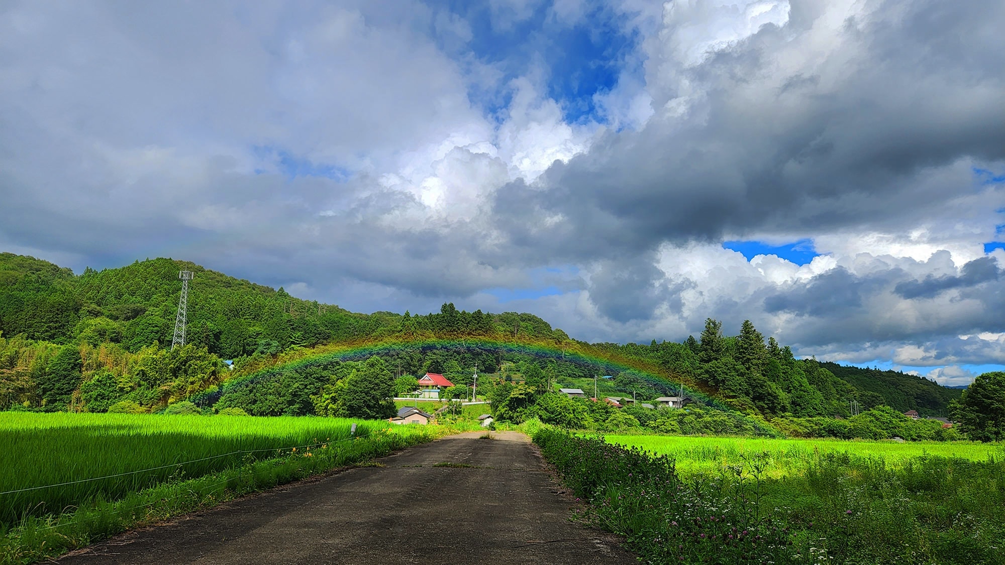 大子デパートフォトコンテスト 大子の夏休み