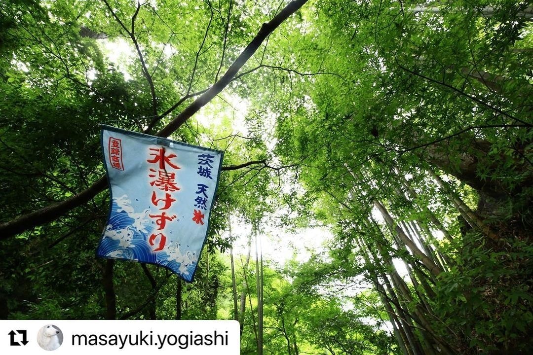 茨城・大子デパートフォトコンテスト 大子の夏休み もみじ苑