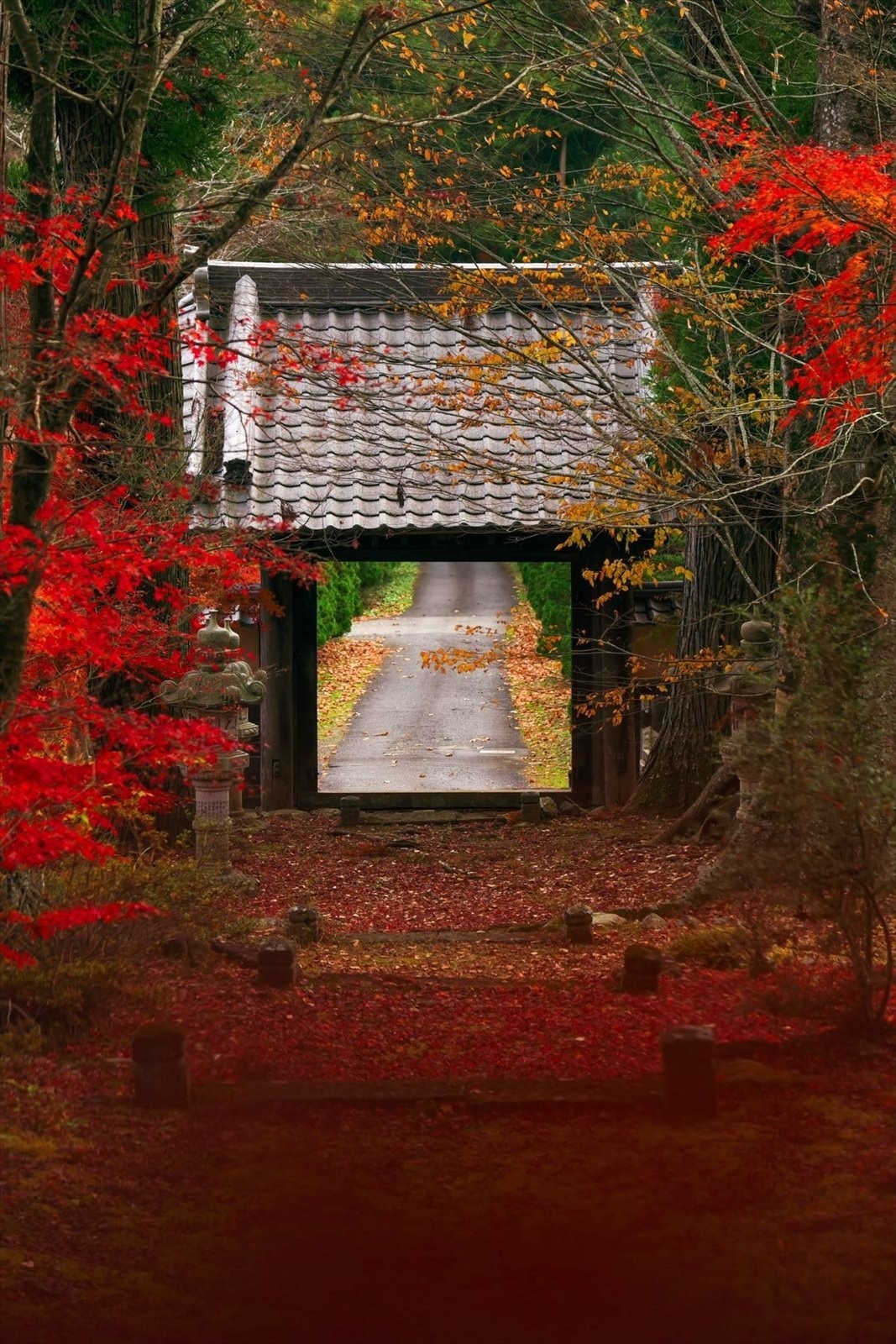 大子紅葉　受賞作品　大子デパートフォトコンテスト