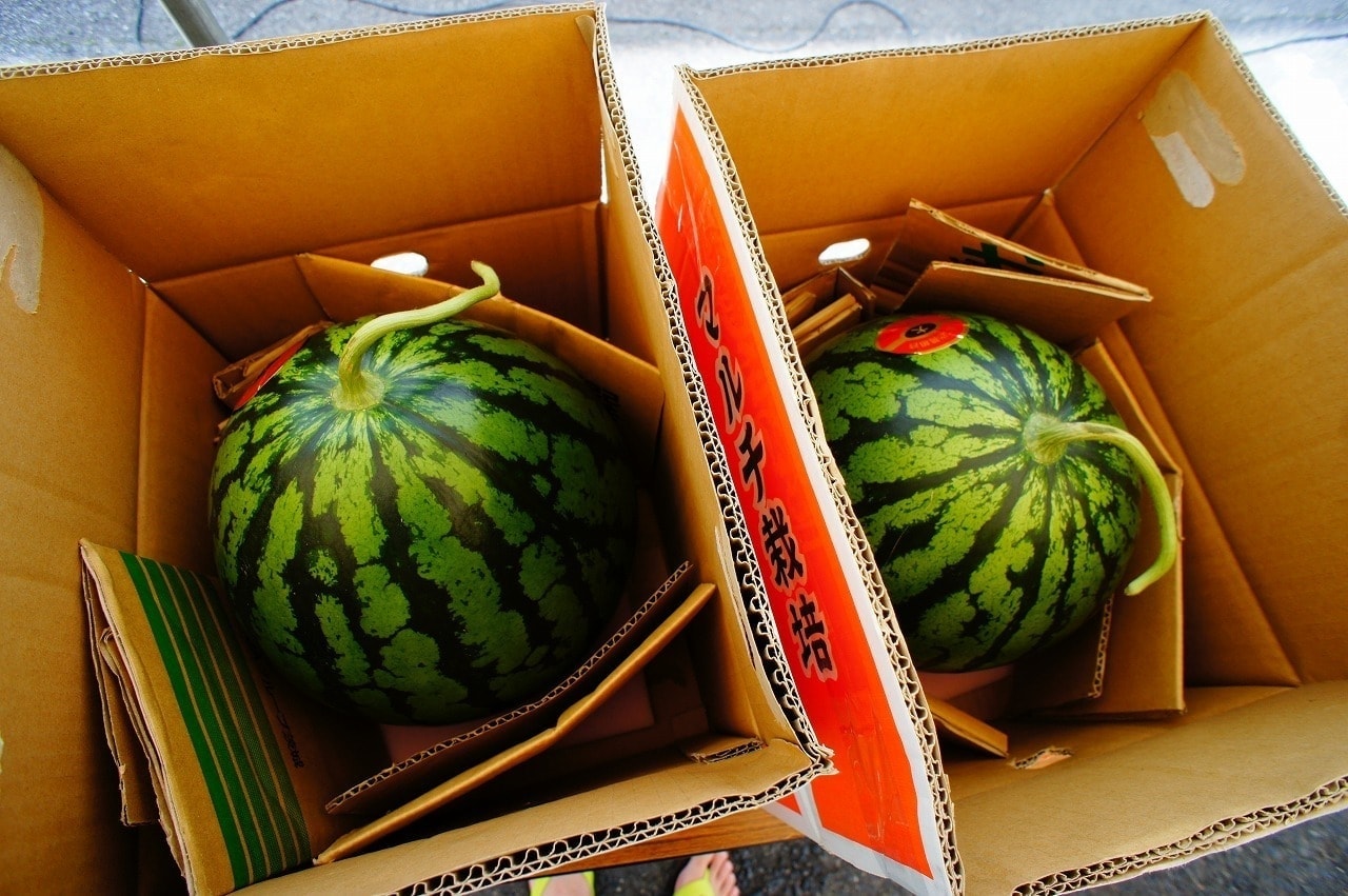 らっしゃい大子百円街（100円商店街）　スタンプラリーの景品のスイカ