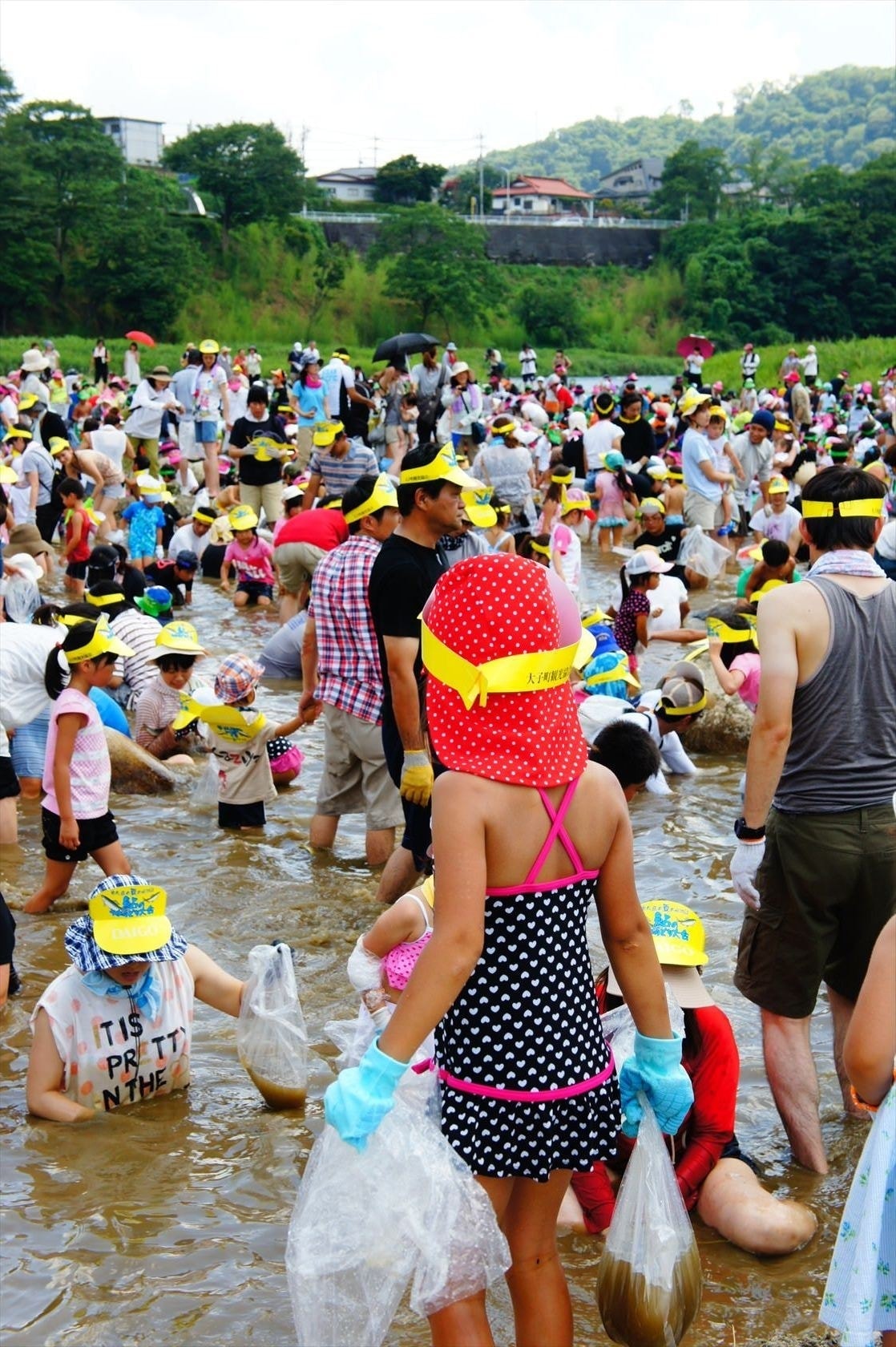 奥久慈大子　鮎のつかみ取り大会