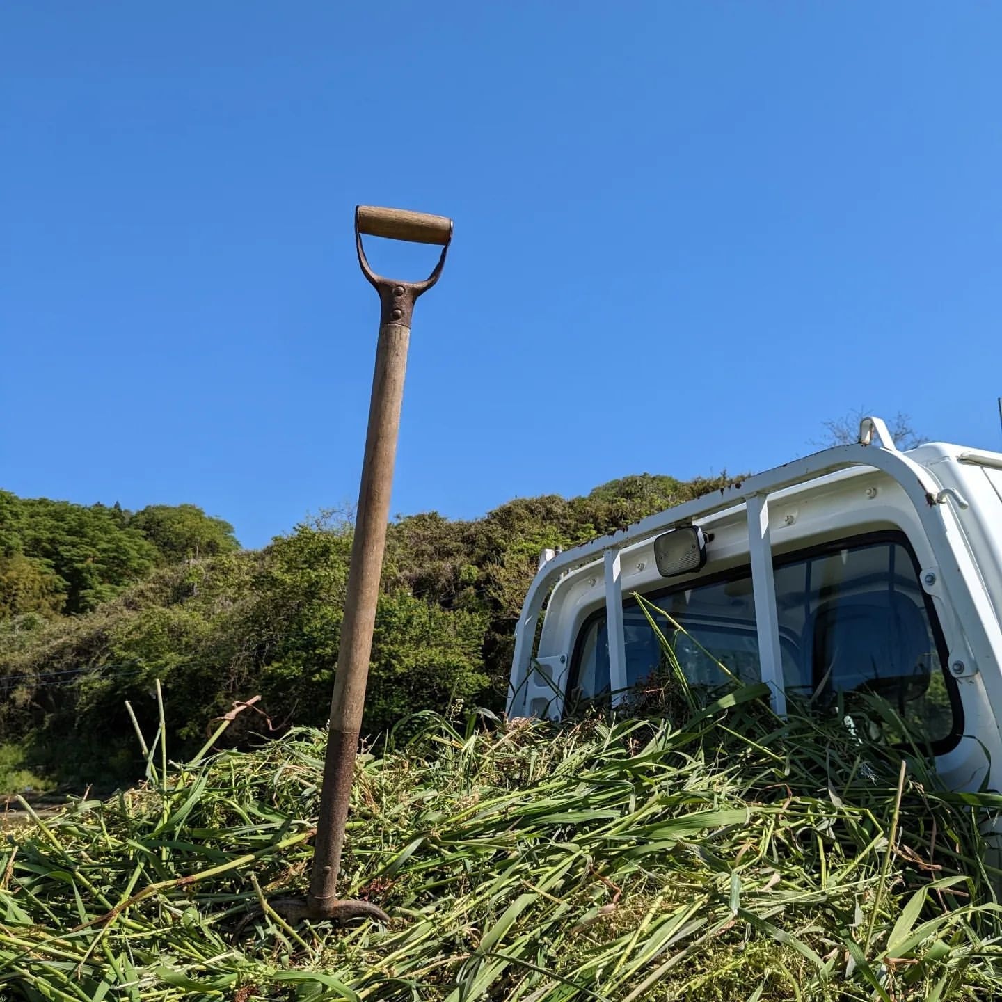 茨城・大子デパートフォトコンテスト　大子の夏休み 畑